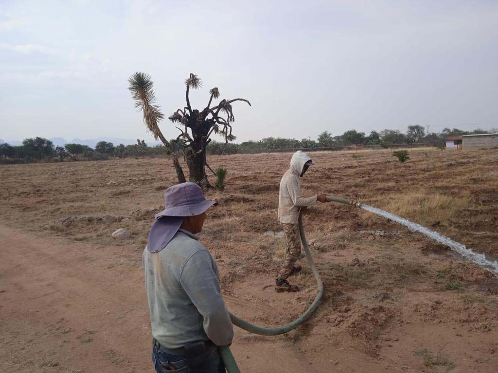 PRAMSEI: Proyectos ambientales en etapas constructivas y operativas (75)
